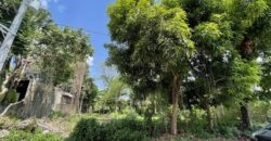 530sqm Vacant Residential Lot in Maries Village behind Mira Nila, Tandang Sora, Quezon City