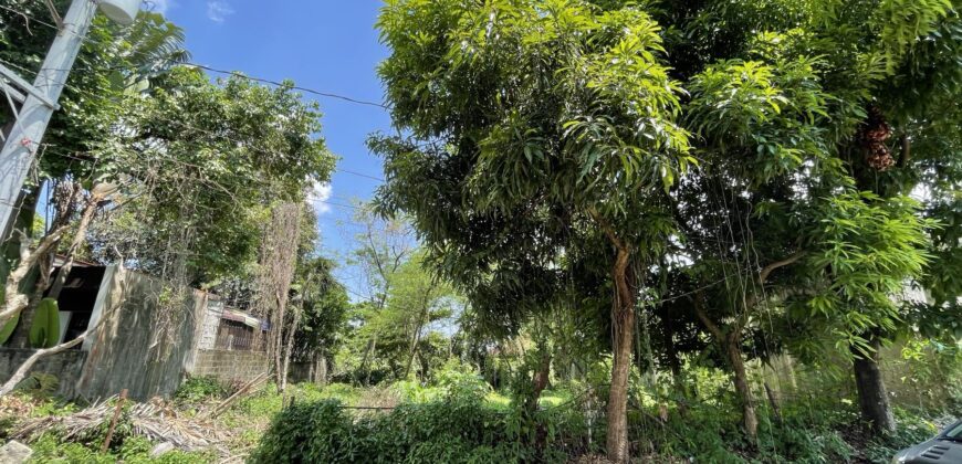 530sqm Vacant Residential Lot in Maries Village behind Mira Nila, Tandang Sora, Quezon City