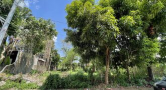 530sqm Vacant Residential Lot in Maries Village behind Mira Nila, Tandang Sora, Quezon City