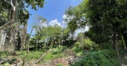 530sqm Vacant Residential Lot in Maries Village behind Mira Nila, Tandang Sora, Quezon City