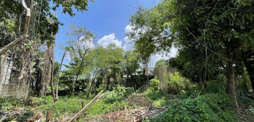 530sqm Vacant Residential Lot in Maries Village behind Mira Nila, Tandang Sora, Quezon City