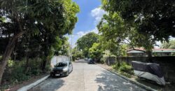 530sqm Vacant Residential Lot in Maries Village behind Mira Nila, Tandang Sora, Quezon City