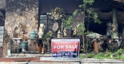 355 sqm Old House & Lot for Redevelopment – Taguig City