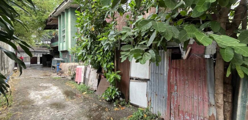 355 sqm Old House & Lot for Redevelopment – Taguig City