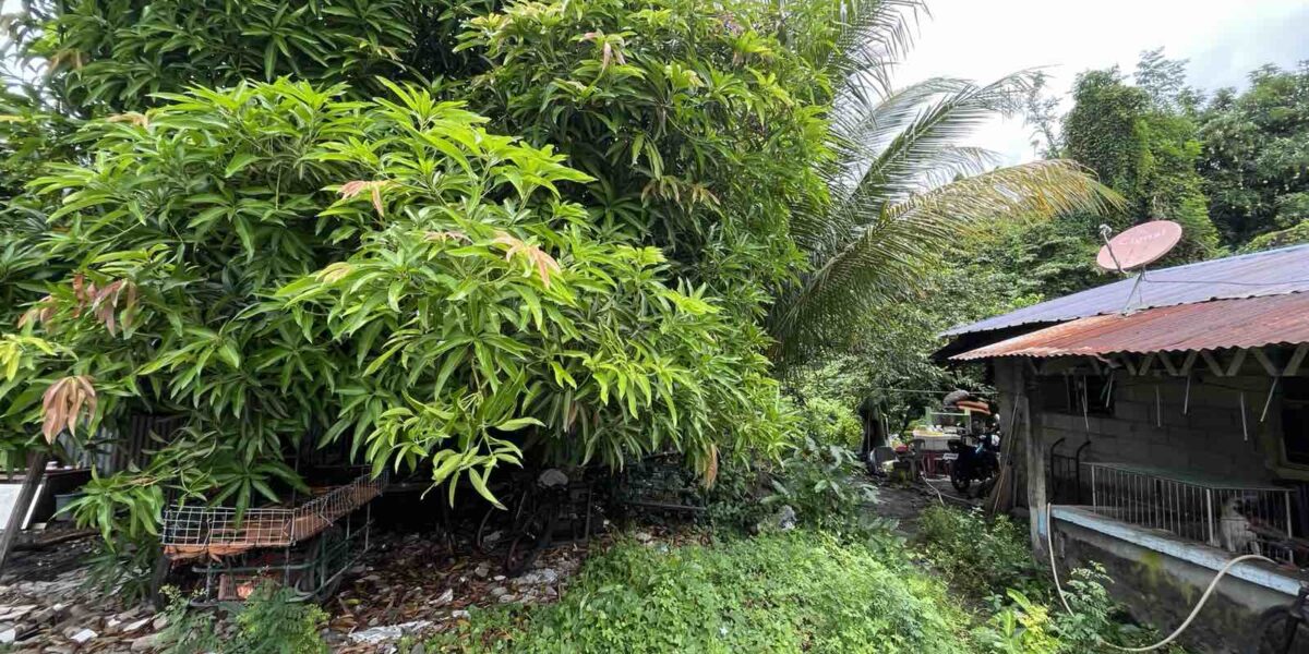 478 sqm Vacant Residential Lot in Taguig City