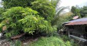 478 sqm Vacant Residential Lot in Taguig City
