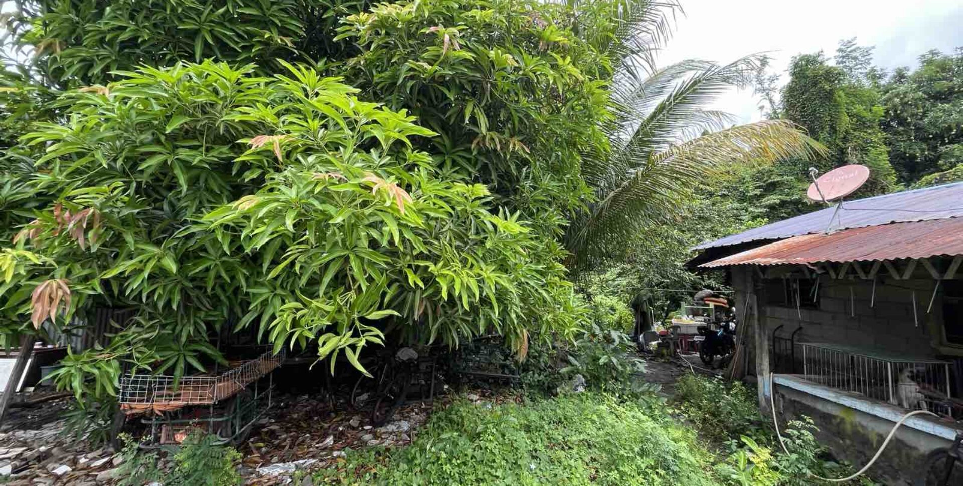 478 sqm Vacant Residential Lot in Taguig City