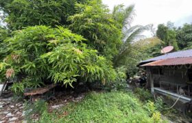 478 sqm Vacant Residential Lot in Taguig City