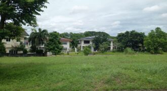 PRIME 433 SQM LOT FOR SALE | VERSAILLES ALABANG VILLAGE