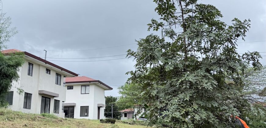 204sqm Residential Lot For Sale in Avida Altaraza, SJDM, Bulacan