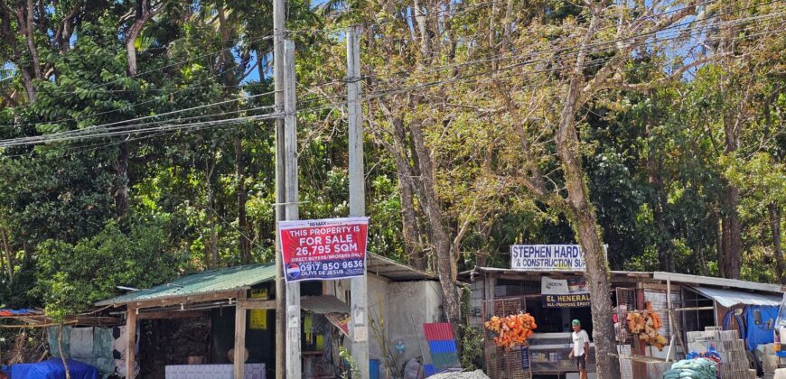 26, 795 SQM Agricultural Land in Pililla, Rizal
