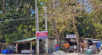 26, 795 SQM Agricultural Land in Pililla, Rizal