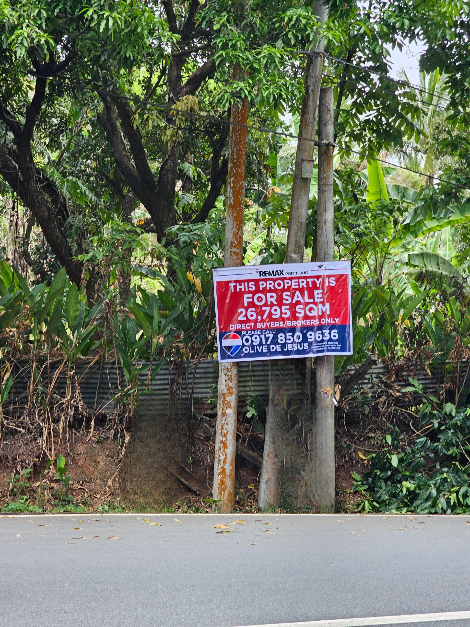 26, 795 SQM Agricultural Land in Pililla, Rizal