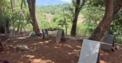 10,717sqm Farm Lot in Daan Pare, Orion, Bataan