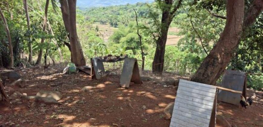 10,717sqm Farm Lot in Daan Pare, Orion, Bataan