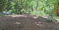 10,717sqm Farm Lot in Daan Pare, Orion, Bataan