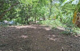 10,717sqm Farm Lot in Daan Pare, Orion, Bataan
