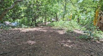 10,717sqm Farm Lot in Daan Pare, Orion, Bataan