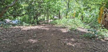 10,717sqm Farm Lot in Daan Pare, Orion, Bataan