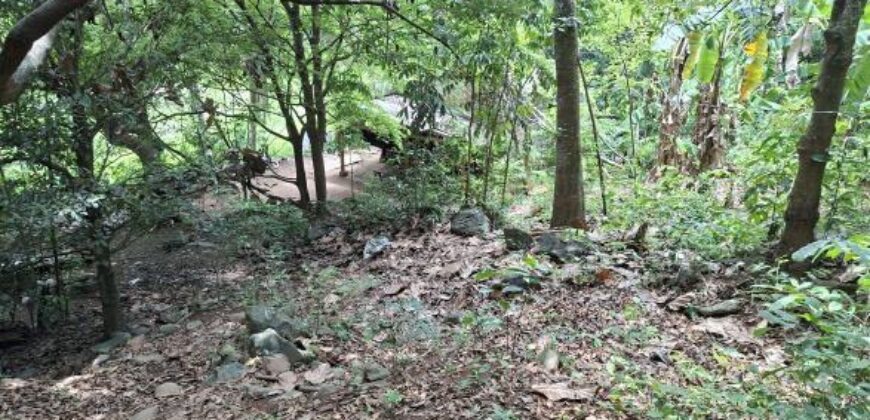 10,717sqm Farm Lot in Daan Pare, Orion, Bataan
