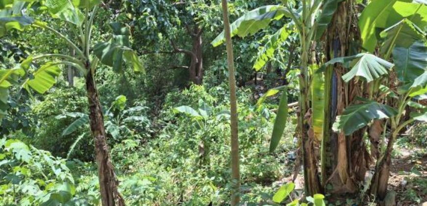 10,717sqm Farm Lot in Daan Pare, Orion, Bataan