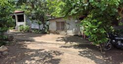 10,717sqm Farm Lot in Daan Pare, Orion, Bataan