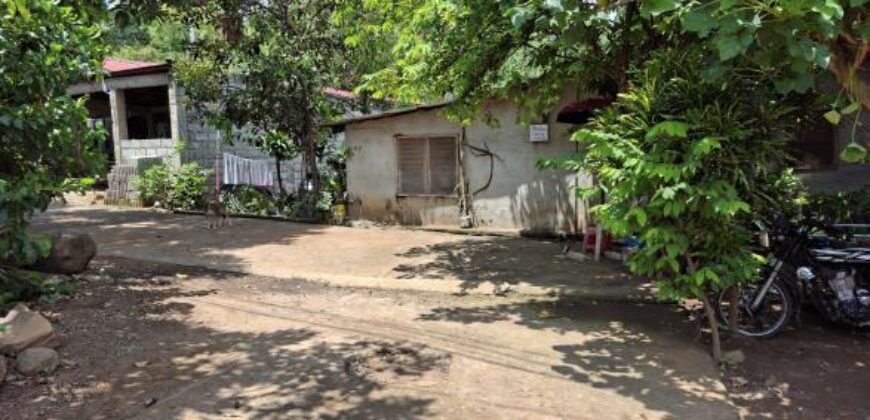 10,717sqm Farm Lot in Daan Pare, Orion, Bataan