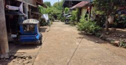 10,717sqm Farm Lot in Daan Pare, Orion, Bataan
