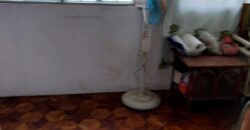 8BR House and Lot 380 SQM in Sikatuna Village, Quezon City