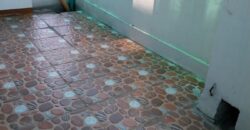 8BR House and Lot 380 SQM in Sikatuna Village, Quezon City