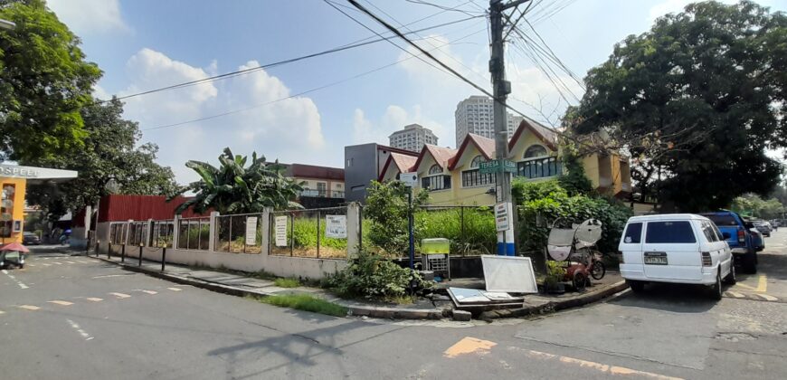 PRIME CORNER LOT FOR SALE | CHRISTINE VILLAGE, PASIG