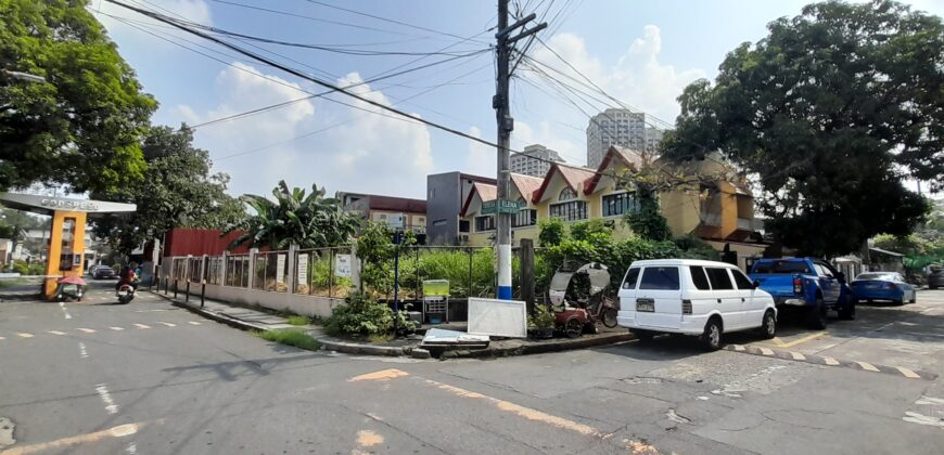 PRIME CORNER LOT FOR SALE | CHRISTINE VILLAGE, PASIG