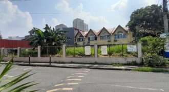 PRIME CORNER LOT FOR SALE | CHRISTINE VILLAGE, PASIG