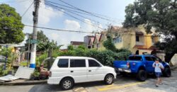 PRIME CORNER LOT FOR SALE | CHRISTINE VILLAGE, PASIG