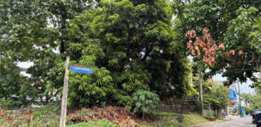 Prime 218-SQM Residential Corner Lot | Batasan Hills, Quezon City
