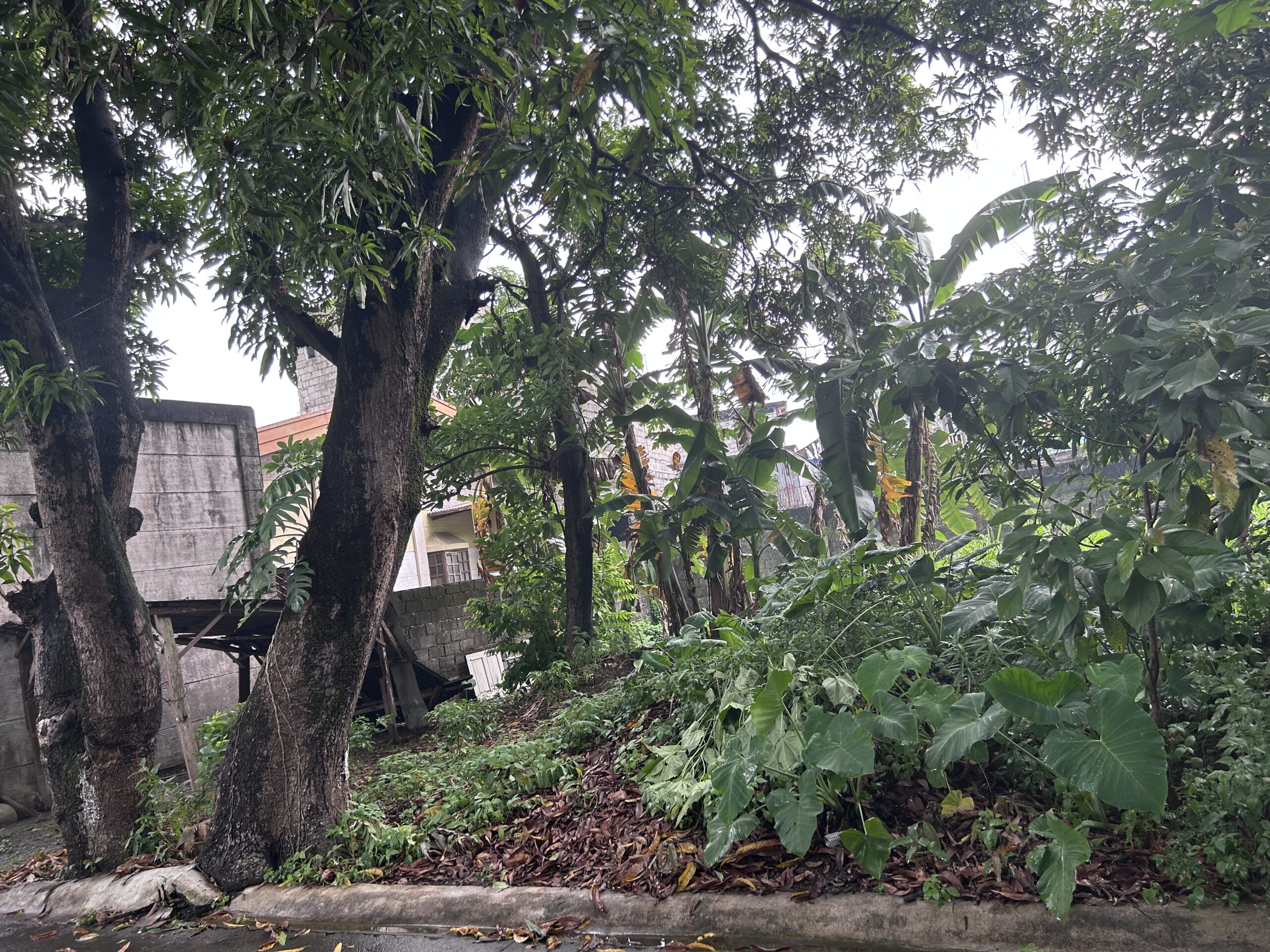 2 ADJACENT RESIDENTIAL LOTS  Filinvest Heights Subdivision | Capitol District, Quezon City