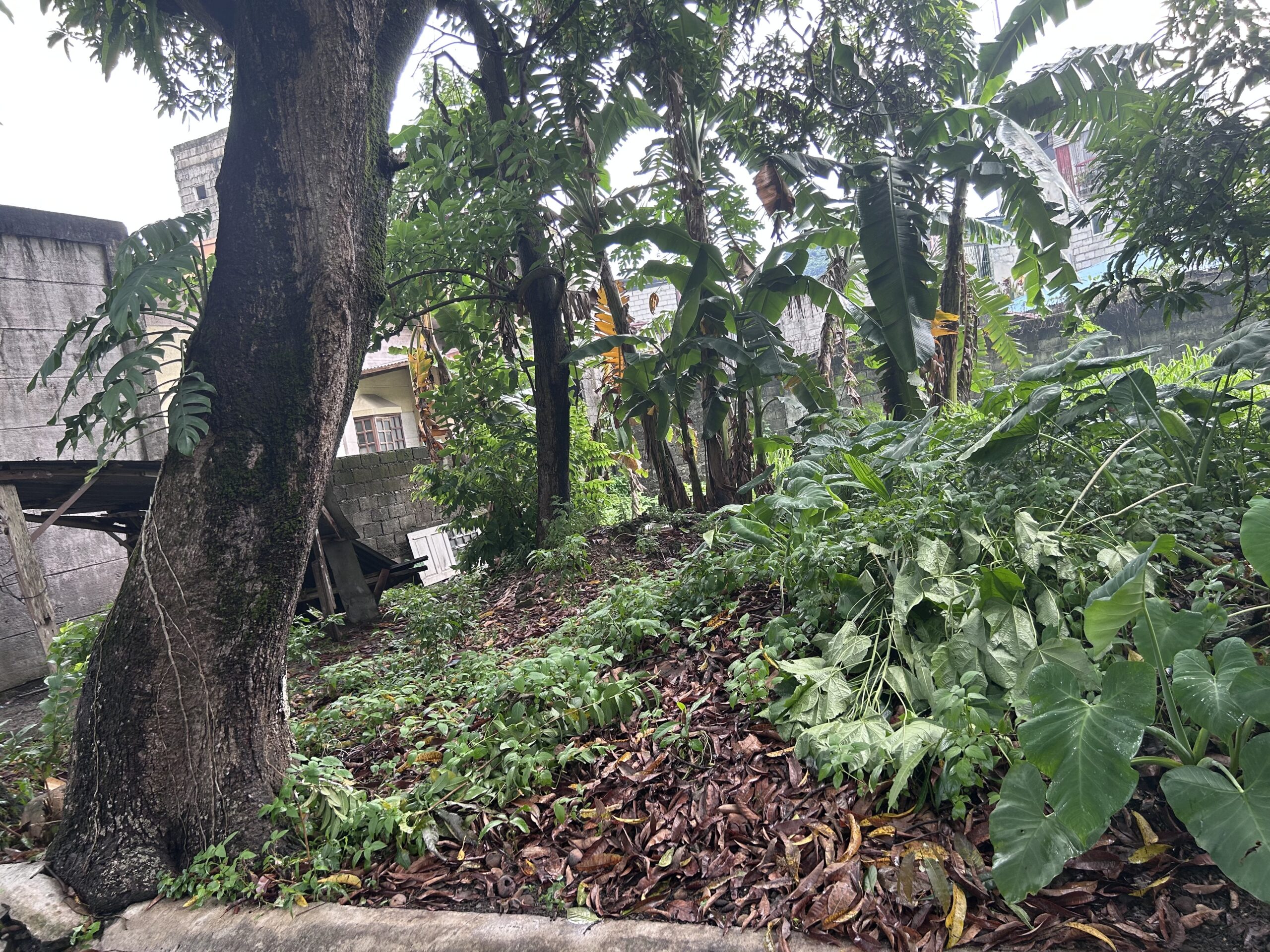 2 ADJACENT RESIDENTIAL LOTS  Filinvest Heights Subdivision | Capitol District, Quezon City