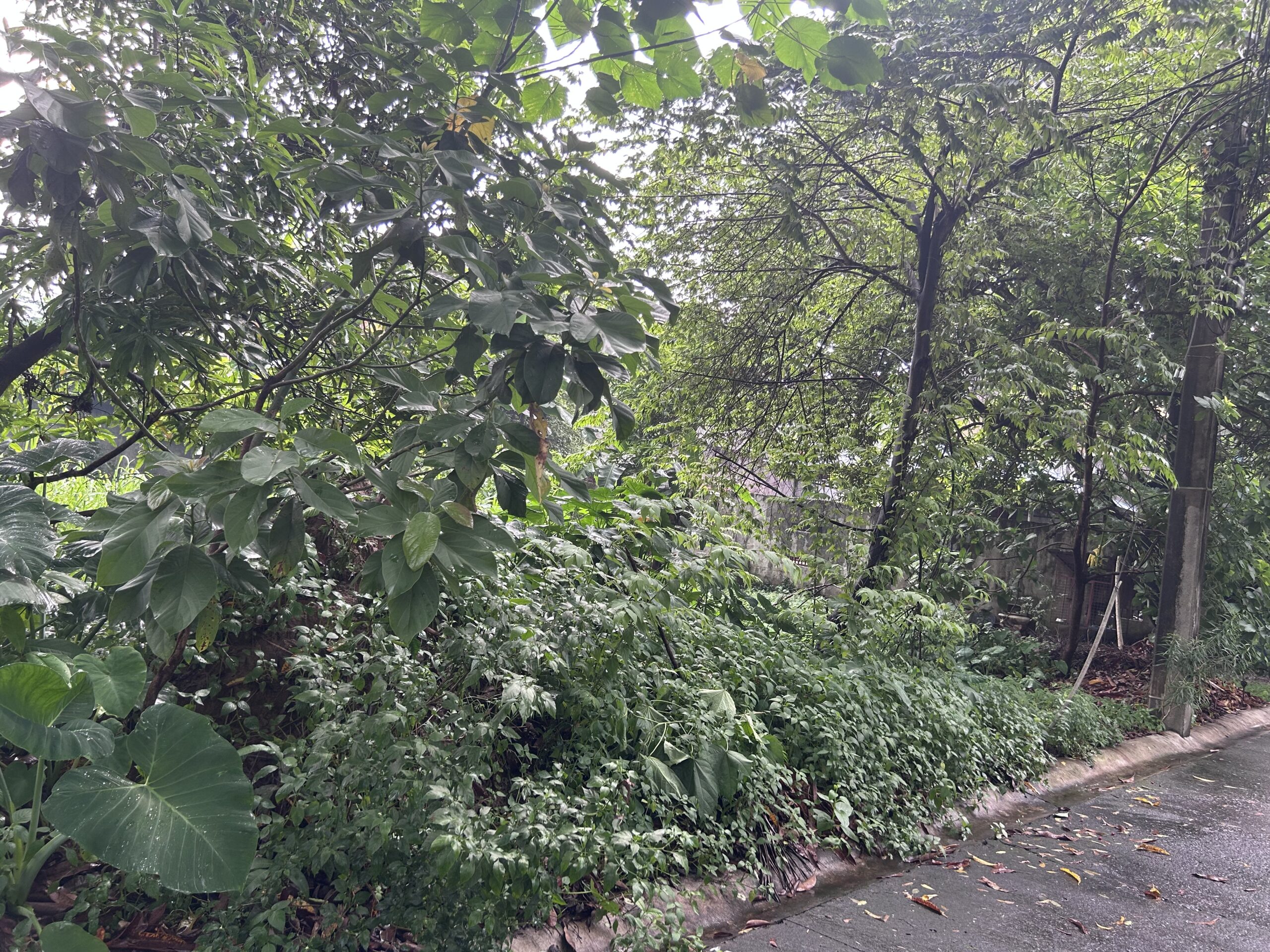 2 ADJACENT RESIDENTIAL LOTS  Filinvest Heights Subdivision | Capitol District, Quezon City