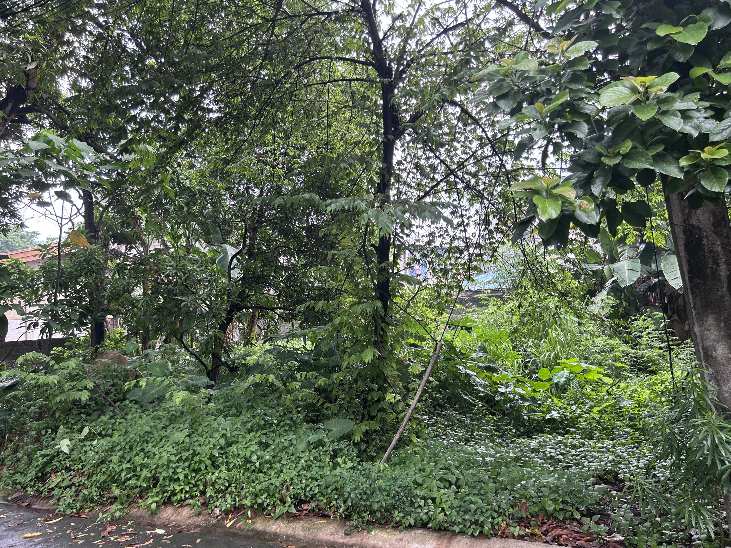 2 ADJACENT RESIDENTIAL LOTS  Filinvest Heights Subdivision | Capitol District, Quezon City