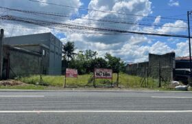 467 SQM PRIME COMMERCIAL LOT FOR SALE – PILA, LAGUNA